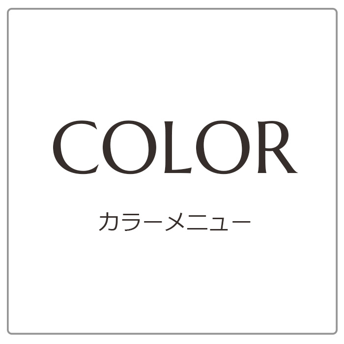 カラーメニュー